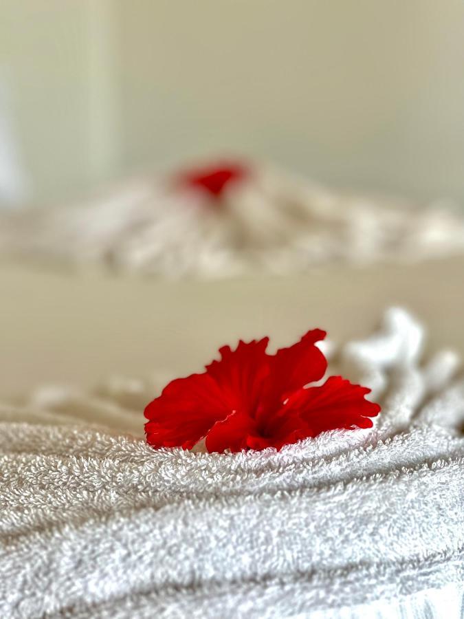 Jambiani White Sands Bungalows Экстерьер фото