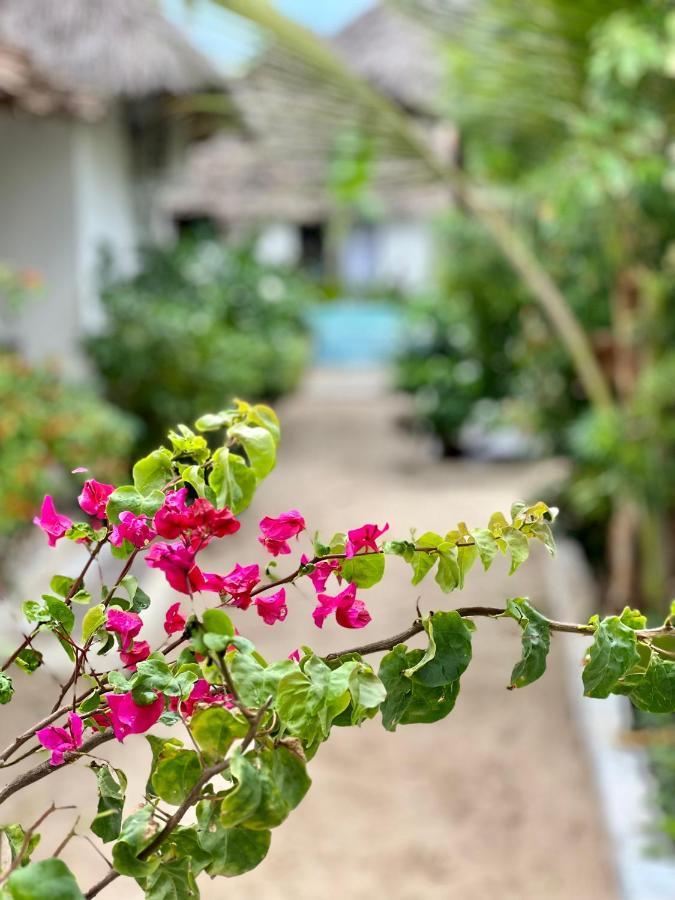 Jambiani White Sands Bungalows Экстерьер фото