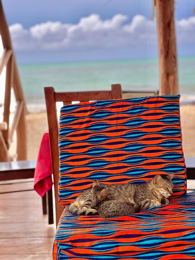Jambiani White Sands Bungalows Экстерьер фото