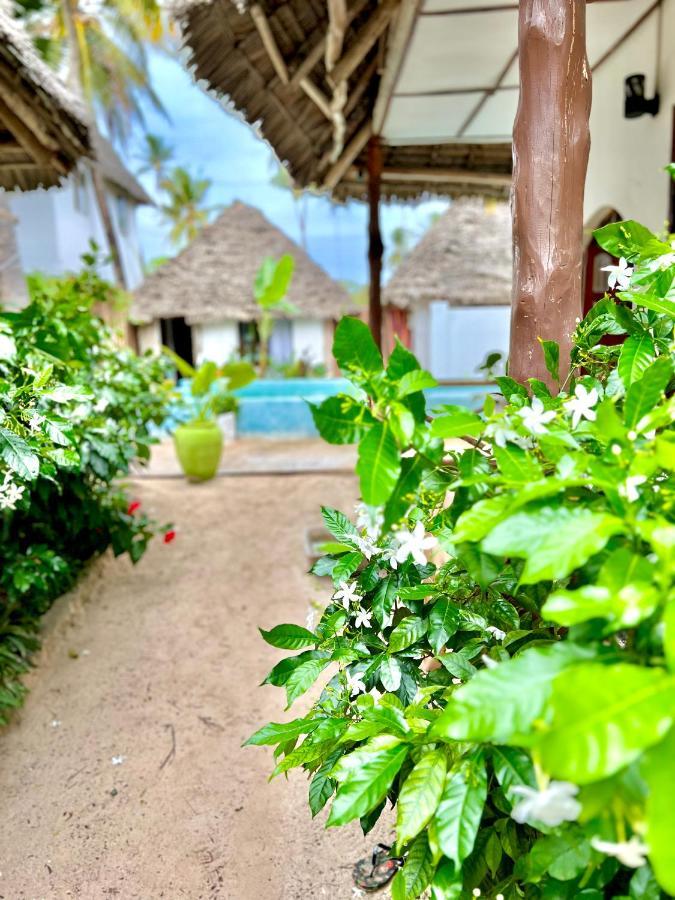 Jambiani White Sands Bungalows Экстерьер фото